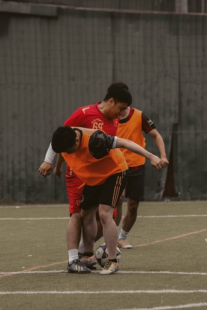 提供了学习 提供了学习