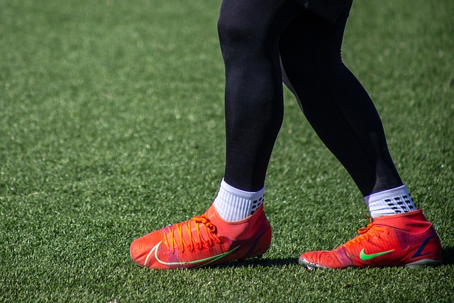 但这在某种 但这在某种