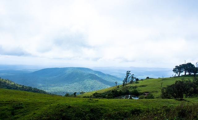 东山再起的 东山再起的