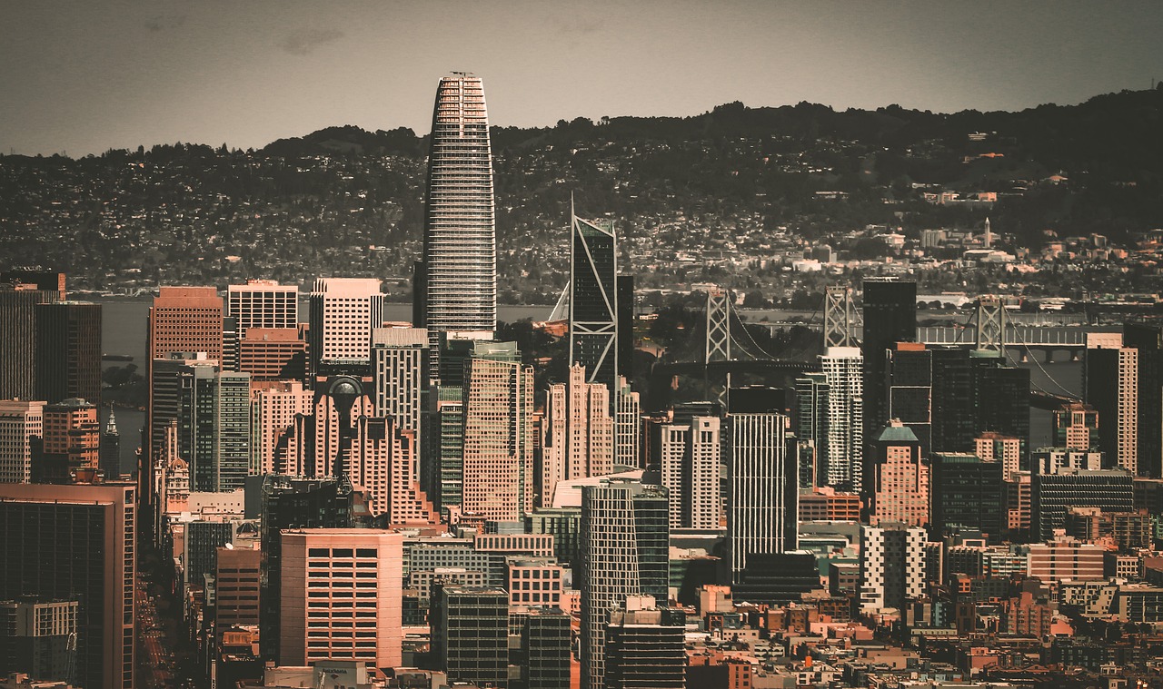 网冠军的背 网冠军的背